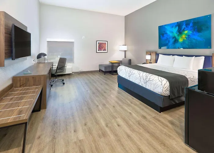 La Quinta Inn & Suites By Wyndham Dallas/Fairpark